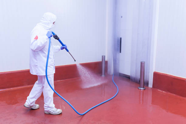 Best Spring Cleaning  in Gaffney, SC